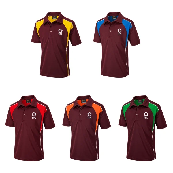 The Petersfield School Polo Shirt with House Colours